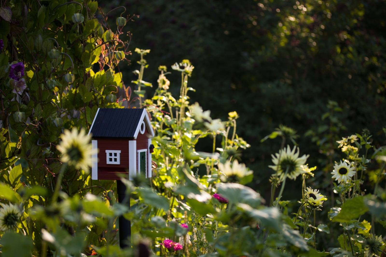 Nichoir en bois pour votre jardin